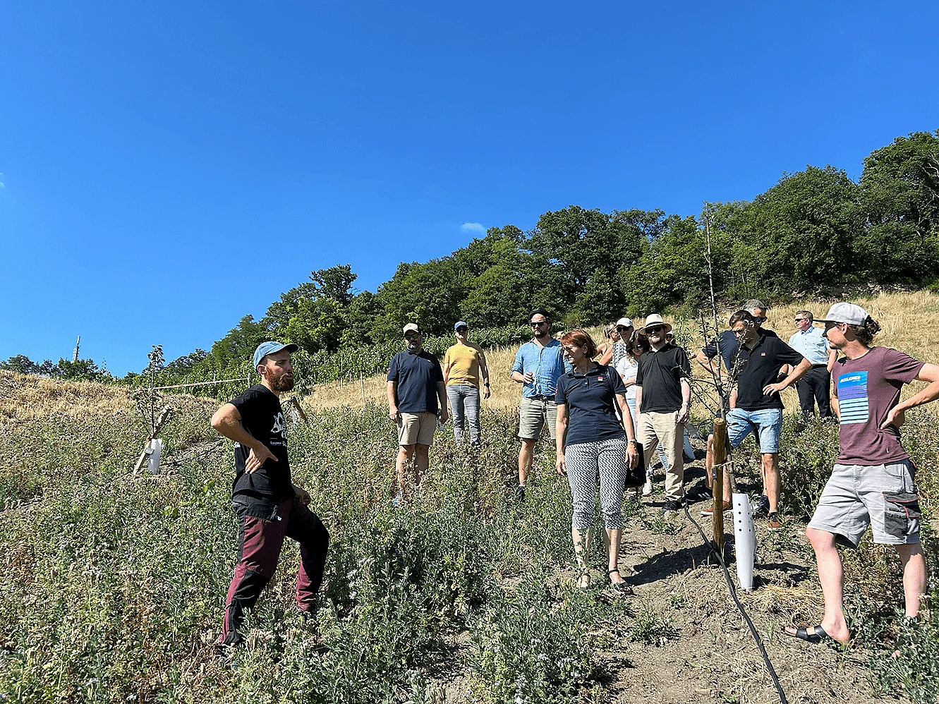 Die Initiatoren des Projekts schildern interessierten csi-Mitarbeitenden das Projekt Die Initiatoren des Projekts schildern interessieren csi Kolleginnen und Kollegen das Projekt